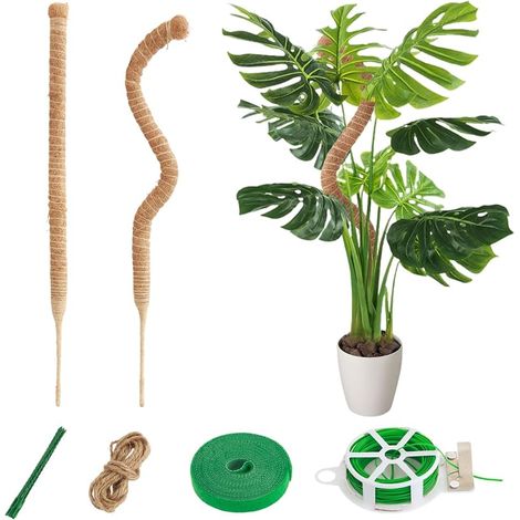 CNMTCCO Set mit 2 Monstera-Stützen, 60 cm, aus Kokosfaser, mit Zubehör, ideal für den Anbau von kletternden Monstera im Garten. (1/5)