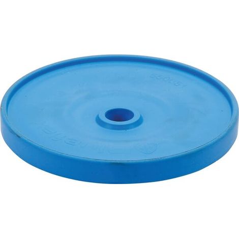 Membrane ANNOVI REVERBERI 550081