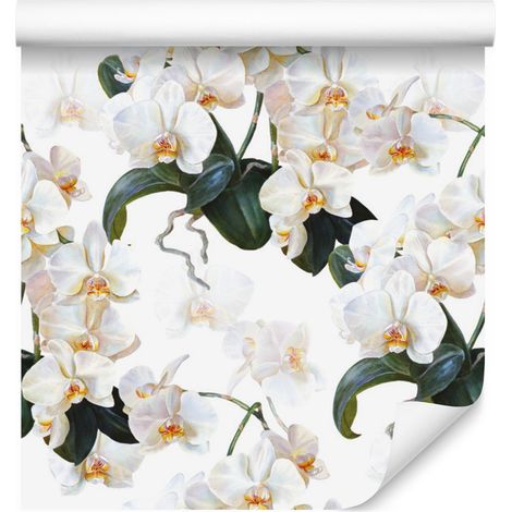 Papier peint orchidée exotique pour salon et chambre 50x1000 cm (1/5)