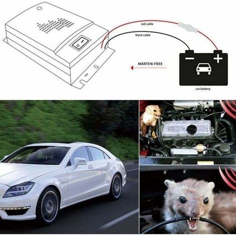 Automatisches Ultraschall-Vertreibergerät für Tiere, Ratten und Mäuse (2 Stück, 12 V) (1/3)