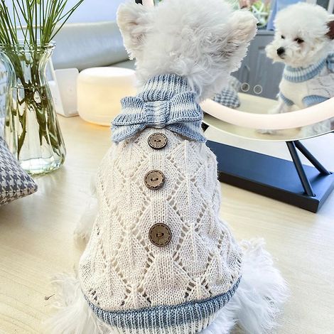 Pull rayé bleu pour animaux de compagnie - Vêtements d'hiver confortables pour chiens et chats (1/5)