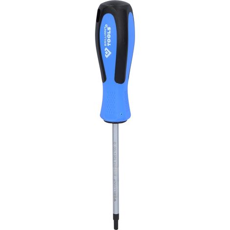 Brilliant Tools Schraubendreher TORX, T25 x 100 mm (1/5)