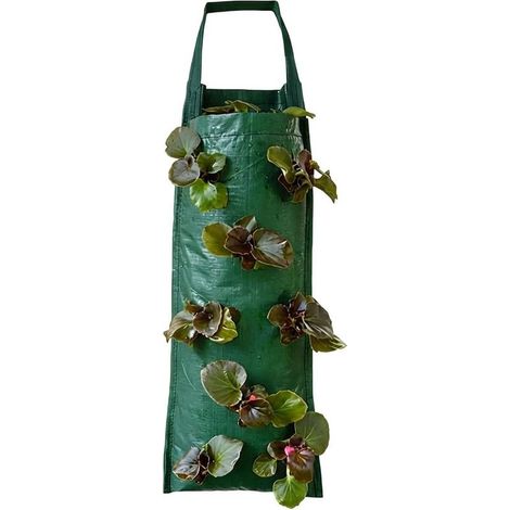 Poche verticale pour fraises, sac de culture réutilisable, pochette de 65 x 24 cm avec plusieurs trous latéraux, pot en tissu respirant, récipient de jardinage avec style suspendu (1/5)