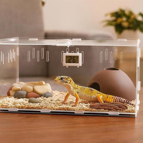 Terrarium naturel pour reptiles JeiibrZui - 7 cm - 3 gamelles pour eau et nourriture - Marron - Convient aux dragons barbus, geckos et lézards (1/4)