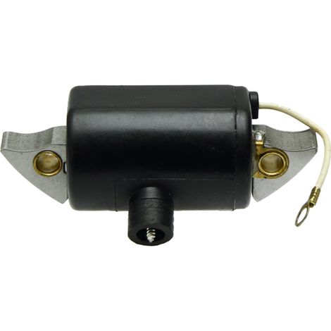 Espacio entre bobinas de encendido de 54 mm para motor de combustión ILO 2204211047 00043055700