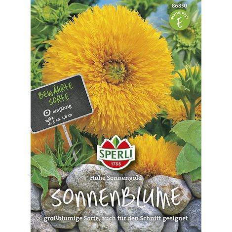 Sperli Sonnenblumen Hohe Sonnengold - Blumensamen (1/2)