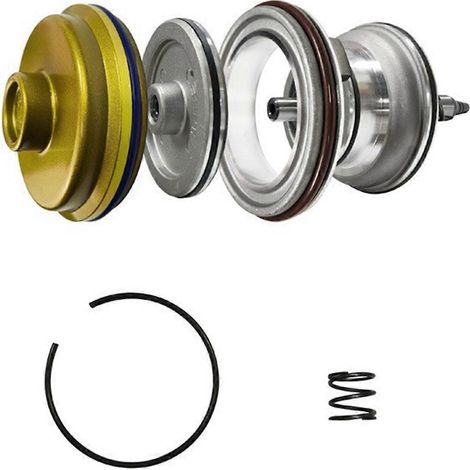Kit servo haute performance 4L60E 4L65E 4L70E doré (1/5)