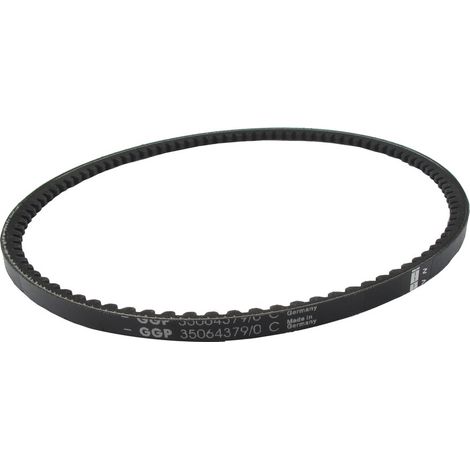Cinghia CASTELGARDEN - GGP 135064379/0