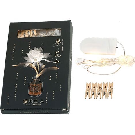 LED-Lichterkette mit Fotoclips für Partys, Hochzeiten, Weihnachten und als Heimdekoration (01)