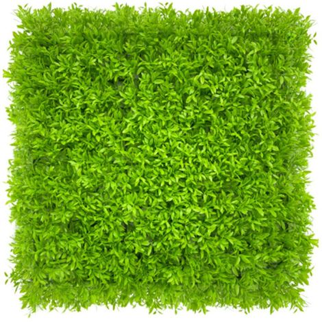 Haie artificielle 50 cm x 50 cm, protection et intimité pour jardin, toile de fond murale en gazon synthétique, protection UV (1 pièce) (1/5)