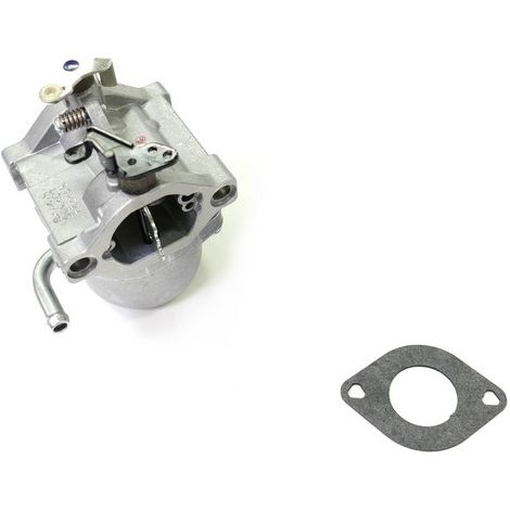 Carburateur moteur Briggs et Stratton 590399 (1/6)