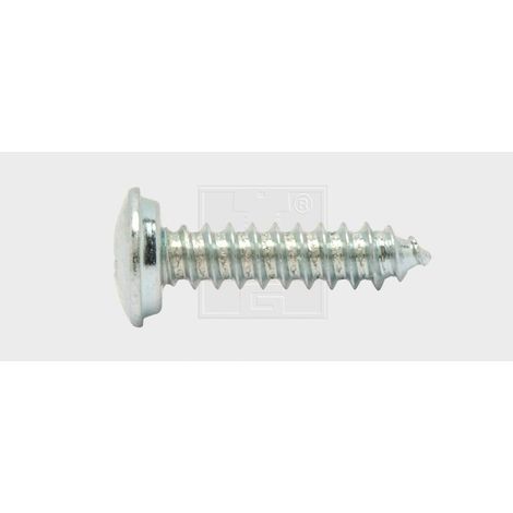 SWG Nummernschildschraube 4.8 x 19 mm mit Abdeckkappe Blechschrauben