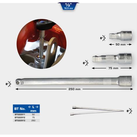 BRILLIANT TOOLS Rallonge pivotante 1/2" 250 mm - BT022913 (1/5)