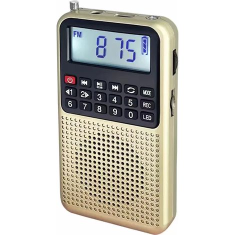 Mini radio FM de poche, récepteur radio haute sensibilité, enceinte Bluetooth portable, enregistreur avec lumière LED, compatible avec les cartes TF et les écouteurs. (1/5)