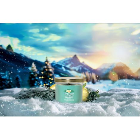YANKEE CANDLE Candela Tumbler piccola in vetro Signature Holiday Winterfest
