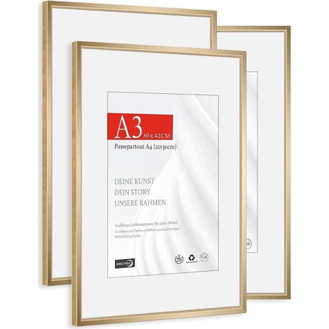 Bilderrahmen A3 Passepartout Alu Champagner Gold A3(29,7x42cm) 3x (1/5)