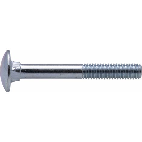 Boulon zingué TRCC Viswood Ø5x50mm (lot de 20 boulons)