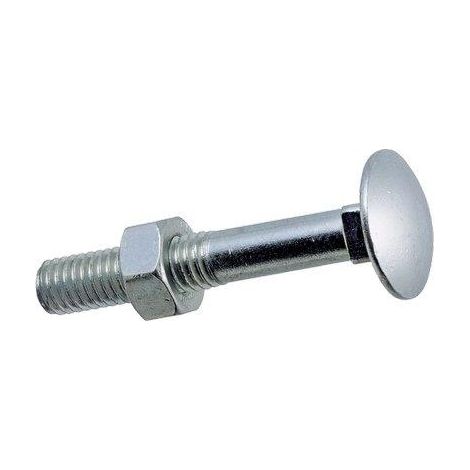 BULLONE TTDQ - CLASSE 4.8 ZINCATO MM  6X100 CF=PZ 100- 1 confezioni