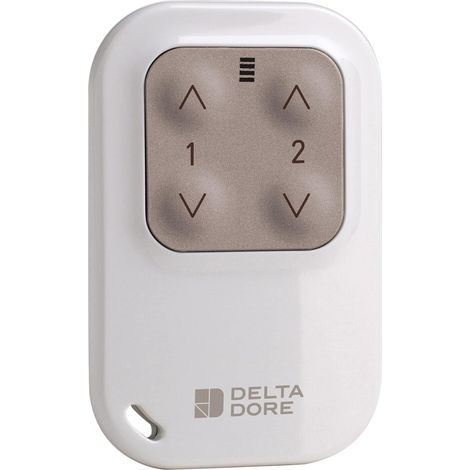 Telecomando delta dore Tyxia 1400 bianco compatto 2 vie (1/5)
