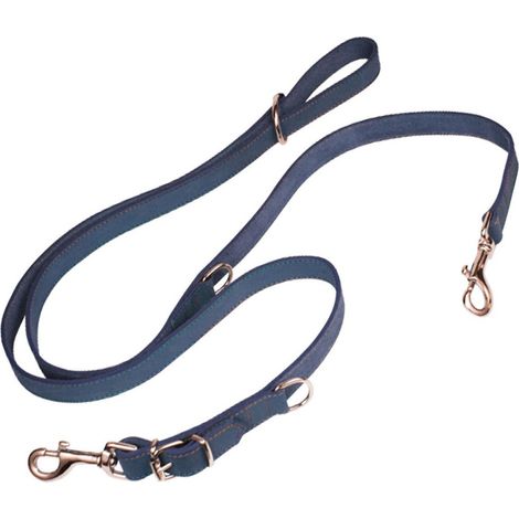 Guinzaglio per Cani Gloria Oasis Multiplo 2.1 x 200 cm Azzurro