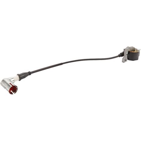 E11818ASM - Bobine d'Allumage pour Tondeuse AS-MOTOR (1/2)