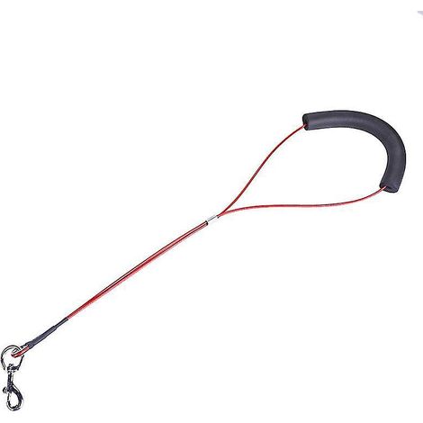1 corde de toilettage pour chien