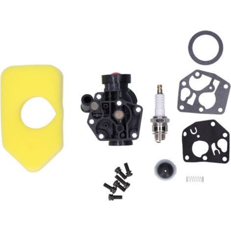 Filtro de aire compatible para motores Briggs & Stratton 795469 794147 699660 794161 498811 698369 - (1/5)
