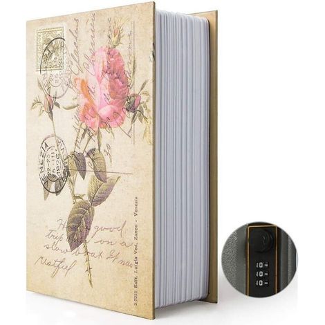 Coffre-fort secret en forme de livre avec serrure à combinaison et clé cachée (1/5)