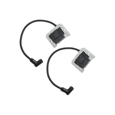 S-giant Kit de 2 Bobines d'Allumage Compatible avec 24 584 01-S, 24-584-04-S, 24 584 45-S (1/4)