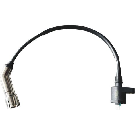Ersatz Zündspule ZD31N für Inverter Stromerzeuger uvm. (1/3)