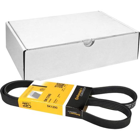 Cinghia multi-nervata CONTITECH 5 PK 1290 (1/4)