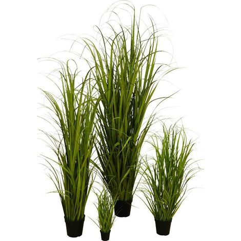 Gras 150cm im Topf grün
