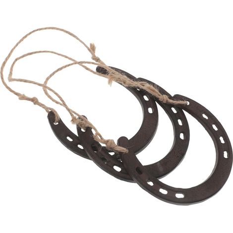 Lot de 3 Fers à Cheval Décoratifs en Fonte Marron Décoration Murale Rustique Western pour Maison, Grange ou Chalet Décoration Murale en Métal Robuste pour Salon et Chambre Présent (1/5)