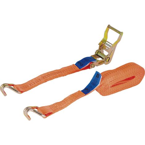 Zurrgurt 2-teillig Spanngurt mit Ratsche ideal zur Ladesicherung und Spitzhaken ideal zur Ladesicherung 4000kg - 8 m