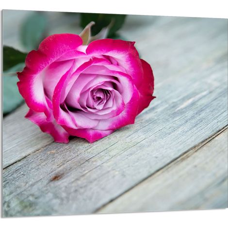 Panneau de verre pour cuisine 65x60 Rose (1/5)