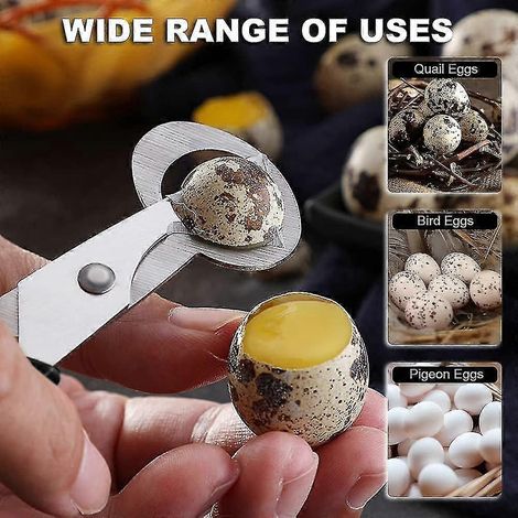 Ciseaux à œufs de caille, lot de 2, ciseaux à coquille d'œuf en acier inoxydable, ouvre-œufs pour la maison, le restaurant et la cuisine