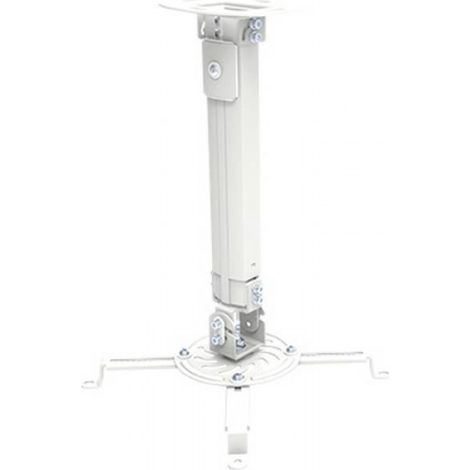 Techly ICA-PM 18S montaje para projector Techo Plata (1/5)