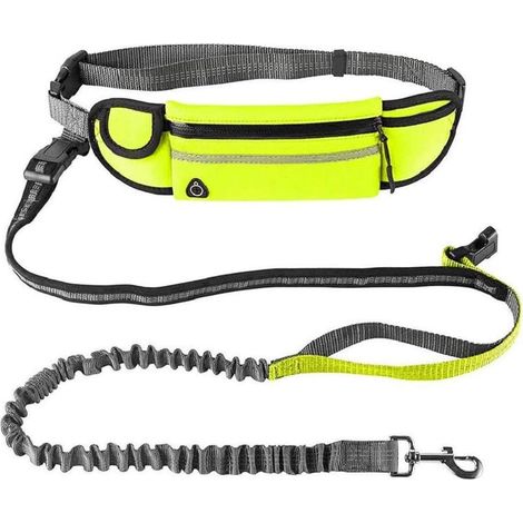 Laisse mains libres avec sac ceinture ventrale pour chien, vert – DELKEVIC