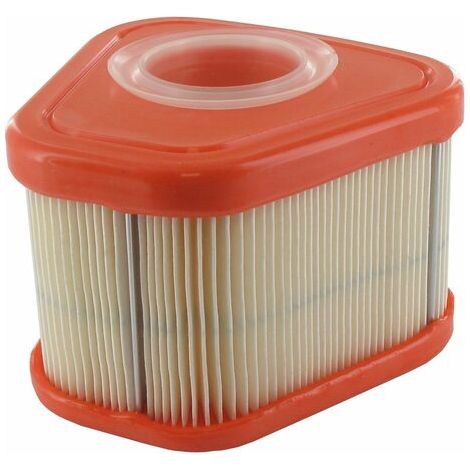 Briggs-Stratton Air Filter 597265