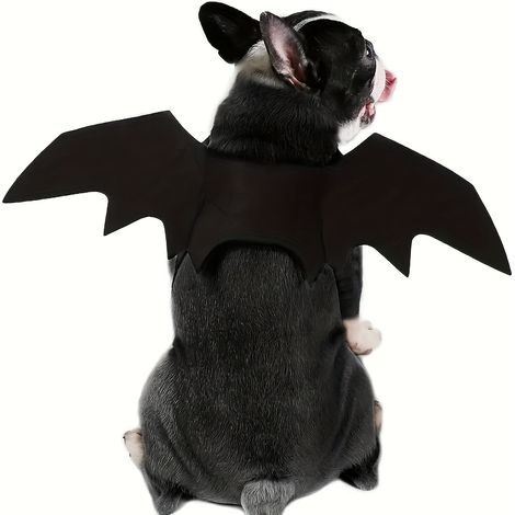 Ailes de chauve-souris pour chien, costume d'Halloween pour chien, S (1/4)