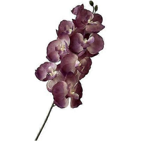 Orchidées artificielles papillon de nuit, fleurs en soie réalistes, décoration pour mariage, fête, maison ou bureauviolet (1/5)