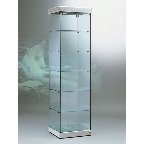 Vetrina 2  Faretti Led 4000K  -54x53x200h - Cristalli Temperati Made in Italy (1/2)