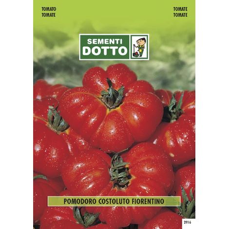 EXTRAPOMODORO COSTOLUTO FIORENTINO