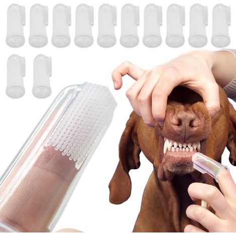 12 Pièces Bosse à dents pou animaux de compagnie,Bosse a Dent Chien Doigt Bosse à Dents Silicone pou Chien Bosse à Dents de Doigt,pou Animal Chiens et Chat Amélioe l'hygiène Buccale (1/3)