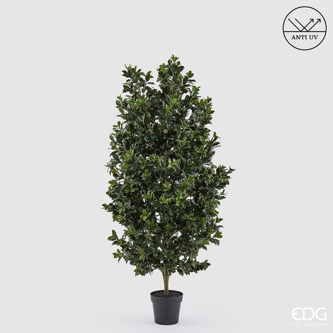 EDG Enzo De Gasperi Pianta Artificiale Agrifoglio H 157 Cm con Vaso – Anti UV Verde per Interno ed Esterno (1/4)