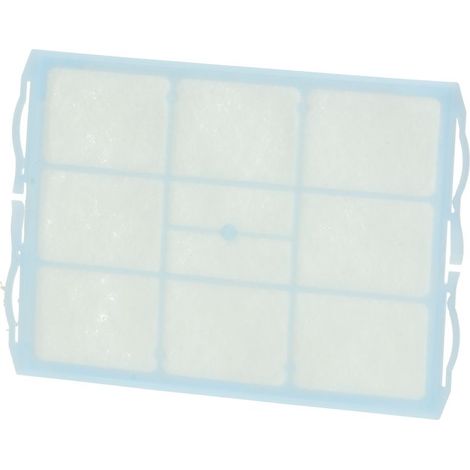 Filtro motore originale - Aspirapolvere - BOSCH - 2981253662734297407