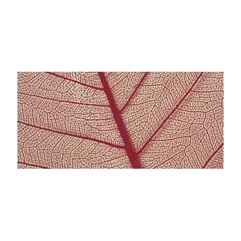 RAYHER - 8 PEZZI - SCHELETRO DI FOGLIA WILLOW 6-10CM - COLORE ROSSO