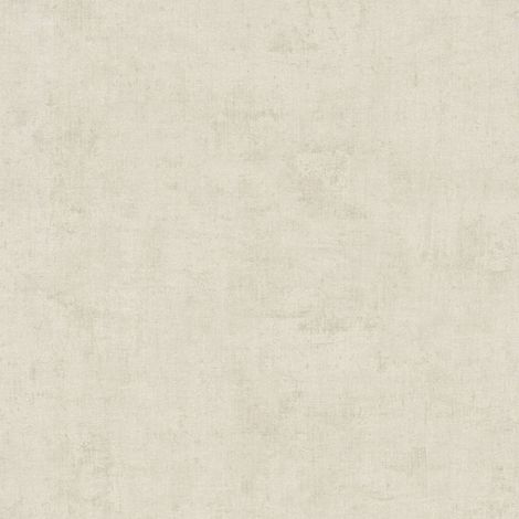 Vliestapete - PintWalls III - Grau Beige Uni Einfarbig A.S. Creation - 791534 (1/5)