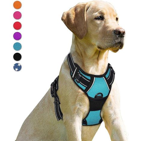 Harnais anti-traction pour chien avec clip avant, robuste et réfléchissant, poignée de contrôle facile pour promener les grands chiens (Bleu.M) (1/5)