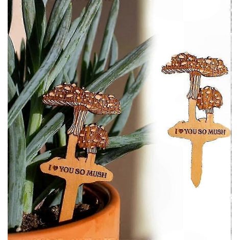 Witzige, handgefertigte Gartenschilder aus Holz für Sukkulenten, inspirierende Deko-Marker, 10 cm, 10er-Packung (1/2)